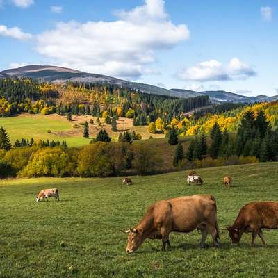 Slovakia