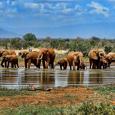 South Africa