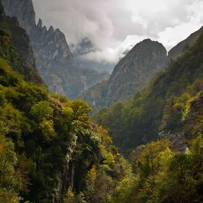 Spain