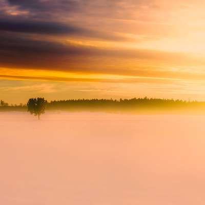 Sweden