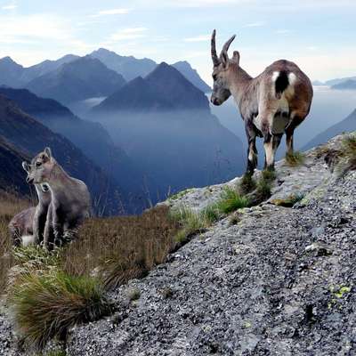 Switzerland