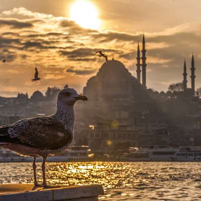 Turkey