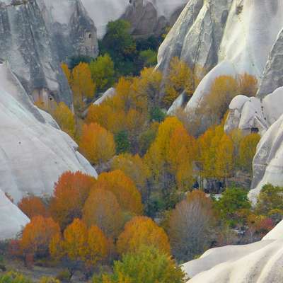 Turkey
