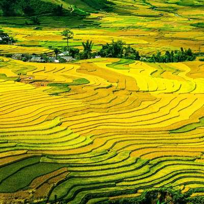 Vietnam