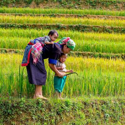 Vietnam