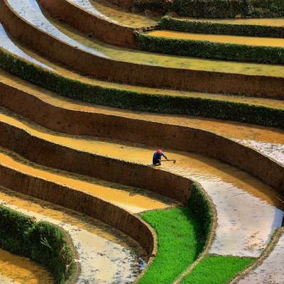 Vietnam