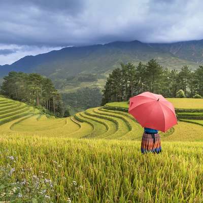 Vietnam
